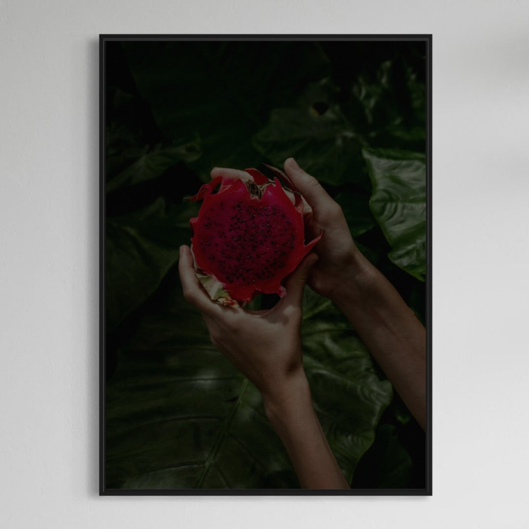 Fruta del dragón Drachenfrucht Poster