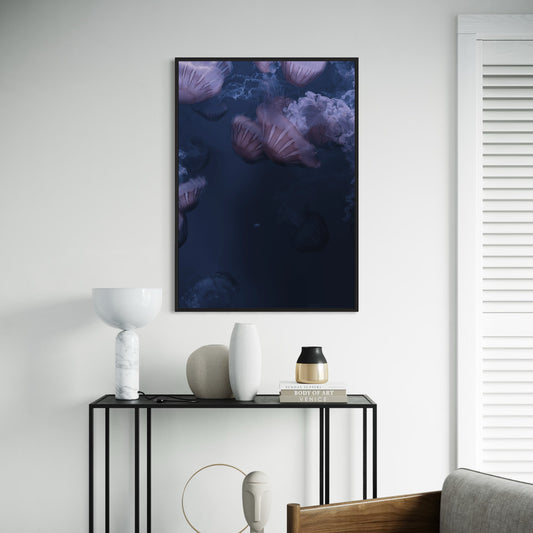 Silent Swimmers | Quallen