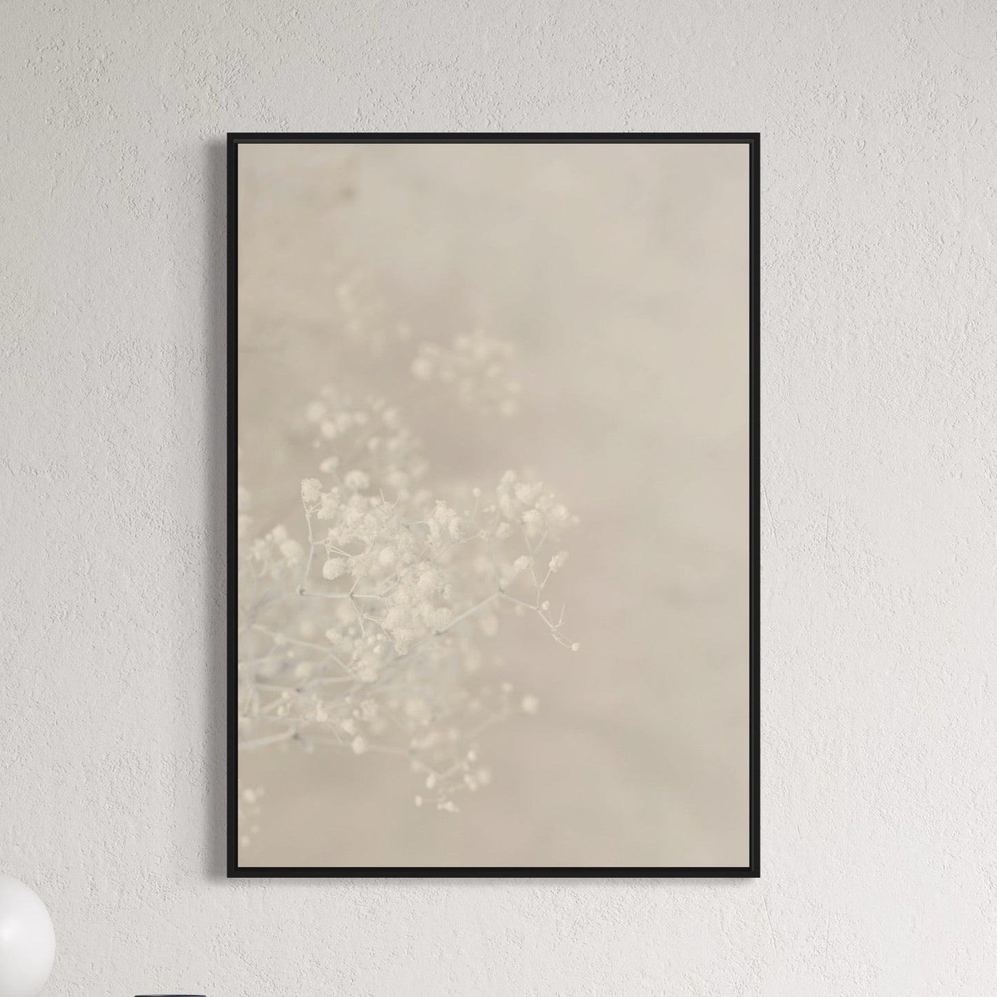 Gypsophila beige