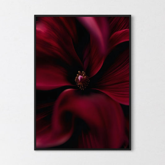 Rote Blüte Poster
