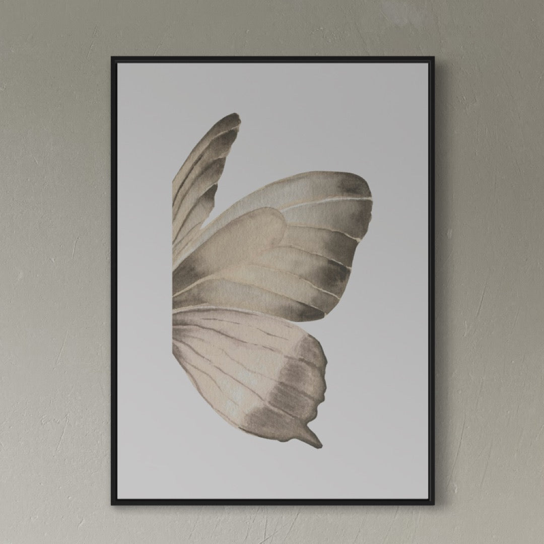 Butterfly no2