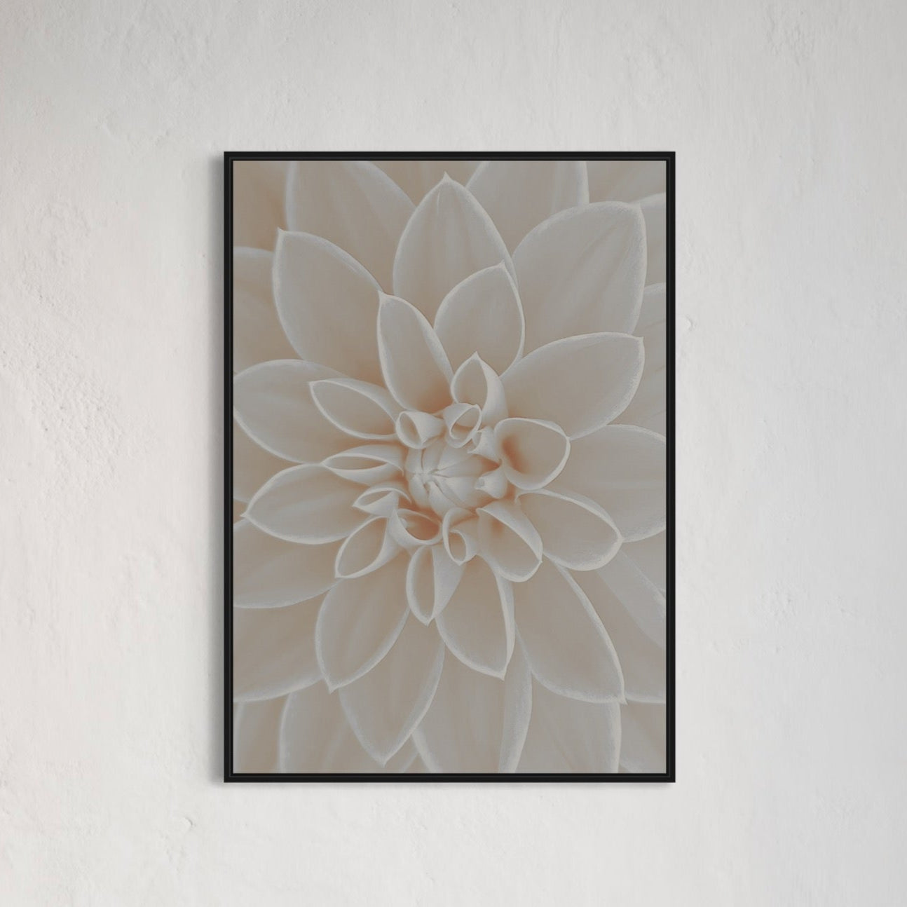 Beige Flower close up