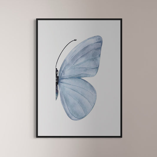 Butterfly in blue | rose no2