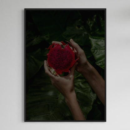 Fruta del dragón Drachenfrucht Poster