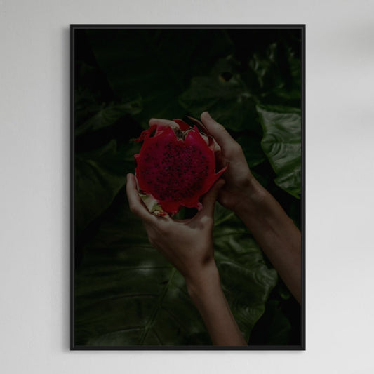 Fruta del dragón Drachenfrucht Poster