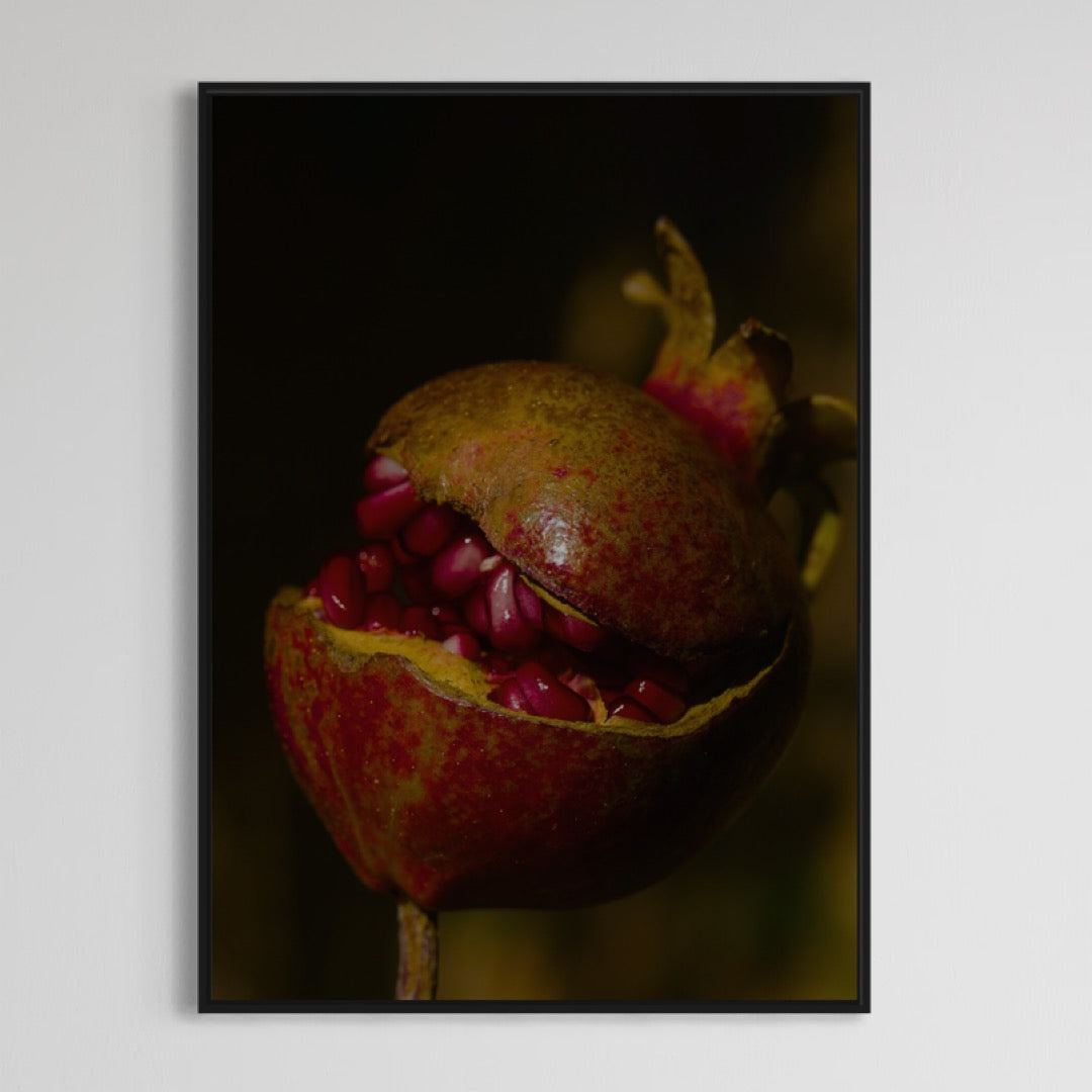 Granada Granatapfel Poster 2