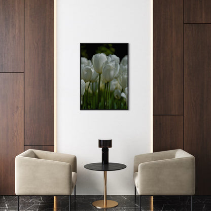 White Tulips Poster