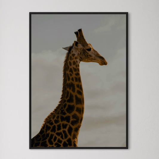 Giraffe Poster