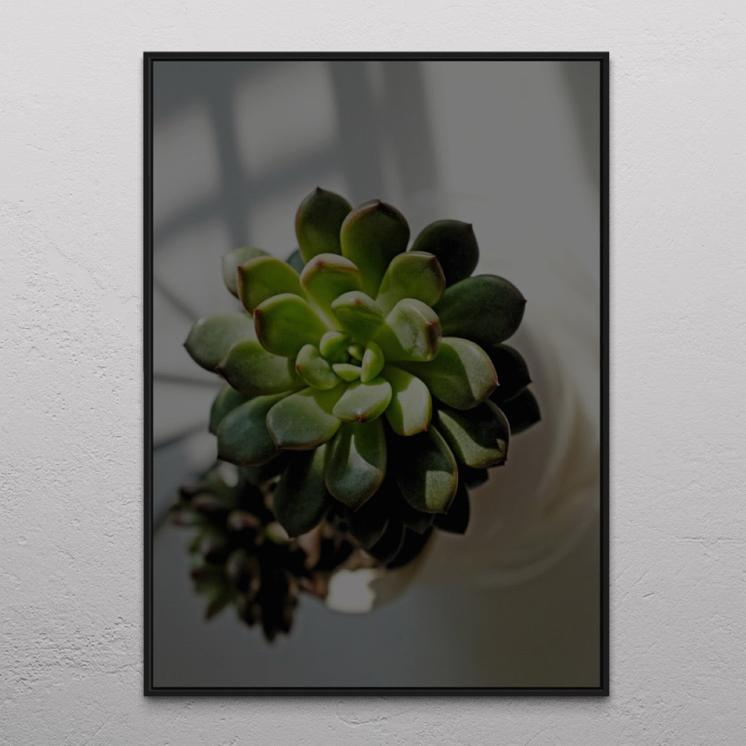 Cactus Poster