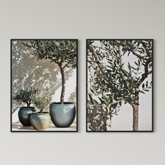 2er-Set Olea Aurea | Olivenbaum Poster