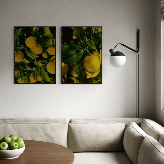 2er-Set Lemons Poster