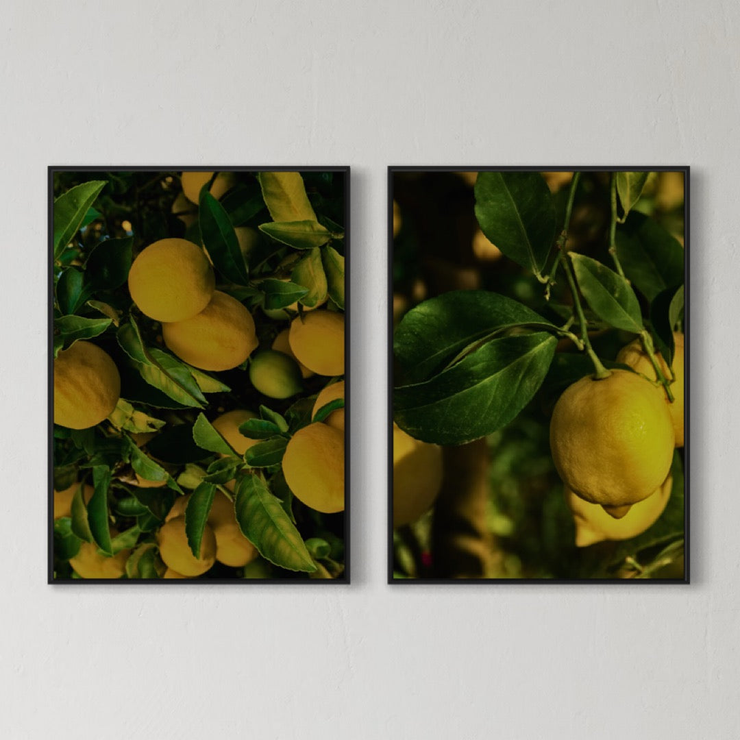 2er-Set Lemons Poster