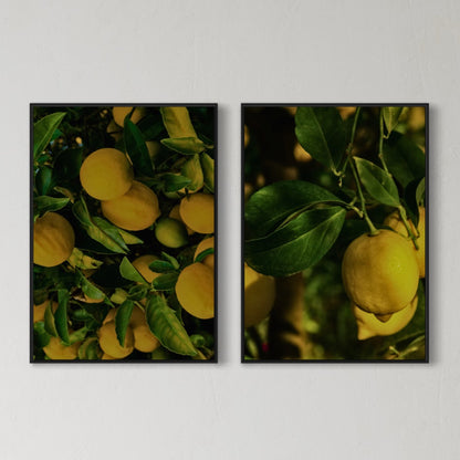 2er-Set Lemons Poster