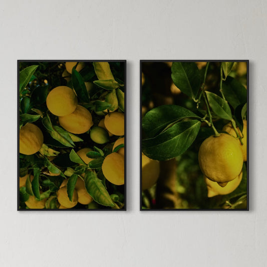 2er-Set Lemons Poster