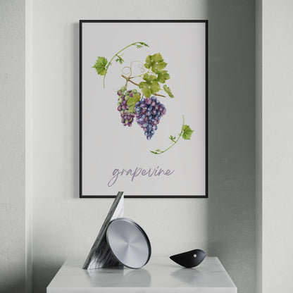 Grapevine - Weinrebe Poster