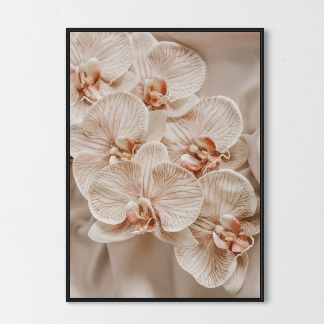 Orchids Poster