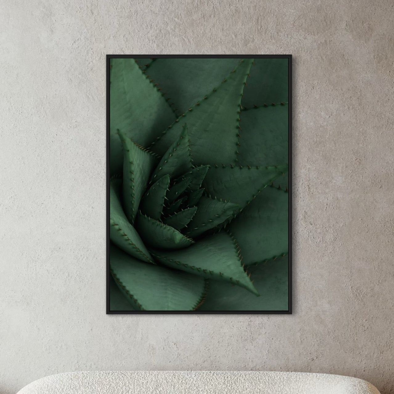 ALOE VERA close up