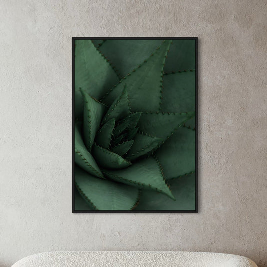 ALOE VERA close up