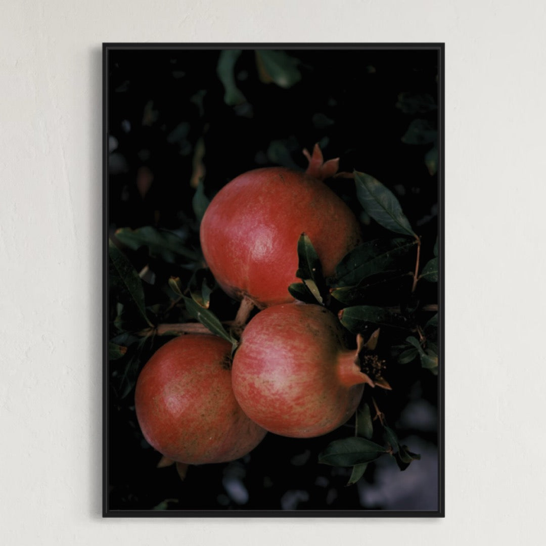 Granada Granatapfel Poster