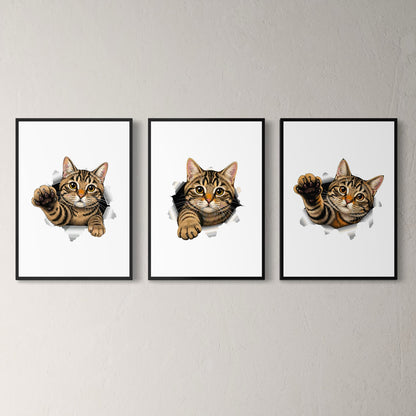 3er-Set Watercolor Cats