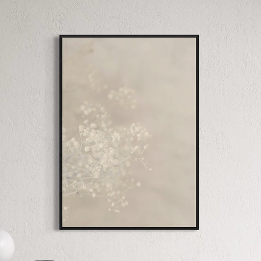 Gypsophila beige