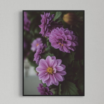 Purple Flowers Poster
