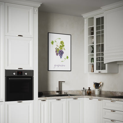 Grapevine - Weinrebe Poster