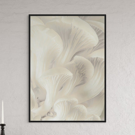 MUSHROOM Poster no1