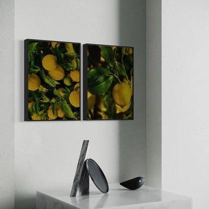 2er-Set Lemons Poster