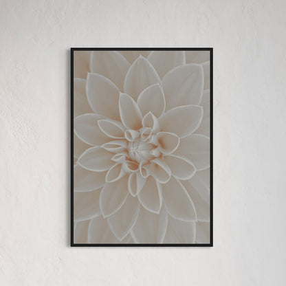 Beige Flower close up