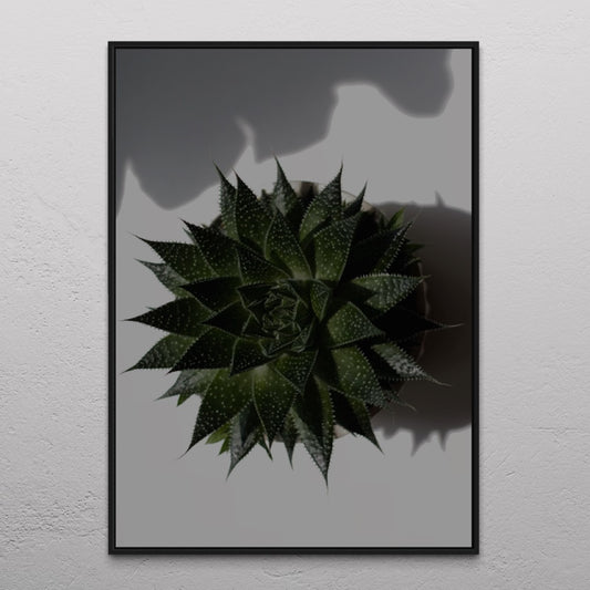 Cactus Poster 2