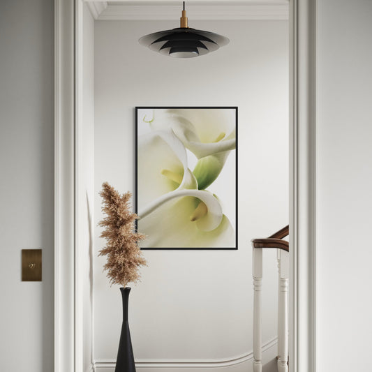 Calla Lilien Poster