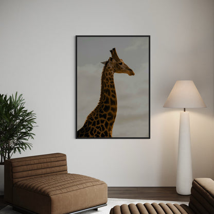 Giraffe Poster