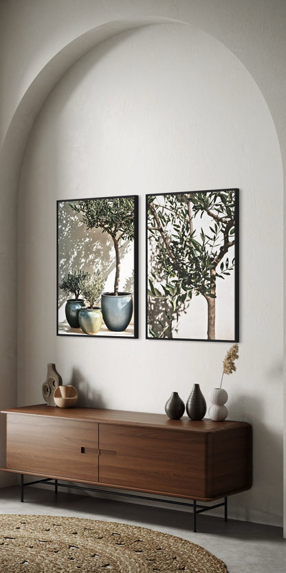 2er-Set Olea Aurea | Olivenbaum Poster